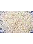 Premium Polipropilen Pp 5 kg 1
