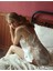 Ekru Yandan Bağcıklı Saten Babydoll 3379 Xl 2