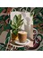 Booster Blend Coffee - Booster Blend Filtre Kahve, 200 Gr 2