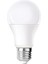 9 Watt E27 Duylu LED Ampul - Gün Işığı 1