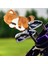 Ayı Golf Ahşşörtüsü Evrensel Örme Scratch Golfçü Hediye Dr (Yurt Dışından) 5