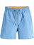 Erkek Logo Detaylı Deniz Şortu - Fiji 5