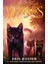 Sky - Warriors. A Starless Clan 1
