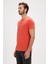 Solid Erkek Kırmızı Yuvarlak Yaka Tişört 2
