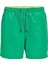 Fiji Solid Erkek Yeşil Mayoşort & Mayo 1