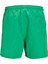 Fiji Solid Erkek Yeşil Mayoşort & Mayo 2