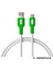 Coral Hızlı Şarj Usb Type A Type-C 120 Cm 3.0a Beyaz Kablo Beyaz-Yeşil Uçlar 2