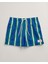 Erkek Mavi Regular Fit Çizgili Mayo Şort 922416007.400 3