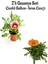 Pembe Beyaz-Turuncu Renk Gazanya Çiçeği 2 Adet SAKSILI(10-20CM) Bahçe Balkon Çiçeği 1