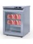 Iceinox Dry Aged Buzdolabı 1 Kapılı 140 Lt 2