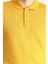 Polo Yaka Regular Fit Pamuklu Triko Kazak 5