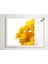60X60 LED Panel Aydınlatma Armatür Avize Sıva Üstü Desenli Tekli 46510783SU 2