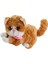 Peluş Sesli Kedi KZL-1609032 1