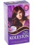 Wella Koleston Saç Boyası Set 4 6 Koyu Kızıl 1