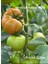 Nutrıplus N-P-Zınc 3-40-0+Me (%3 Çinko) Fosfor Çiçeklendirici Köklendirici 3
