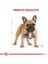 French Bulldog Adult Yetişkin Köpek Maması 3 Kg 3