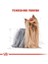 Yorkshire Terrier Adult Yetişkin Köpek Maması 1,5 Kg 2