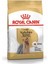 Yorkshire Terrier Adult Yetişkin Köpek Maması 1,5 Kg 5