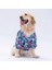 Floral Orta ve Büyük Irk Köpek Gömleği - Köpek Kıyafeti (15 kg-45 kg) 2