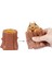 Parça Set Sıkma Sincap Oyuncaklar Dekompresyon Evil Sincap Kupası, Duyusal Fidget Oyuncaklar, Çocuklar ve Yetişkinler Için Squishes Oyuncak Stres Giderici Zor Komik Oyuncaklar1 (Yurt Dışından) 1