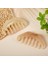 1pc Gua Sha Reçine Masaj Kafası Guasha Tarak Akupunktur Terapi Kazıyıcı Aracı (Yurt Dışından) 5