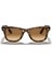 Rayban 0RB4340 710/51 50 Unisex Güneş Gözlüğü 1