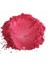Pembe Sedef Mika Kozmetik Boyası 1 kg 1