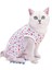 Kedi Kısırlaştırma Kıyafetleri (Yurt Dışından) 1