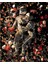 Garden Delights Iı Astronot Sayılarla Boyama Seti 40X50 cm (Tuvale Gerili) 1