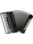 Akordiyon Weltmeister Cassotto 41/120/IV/11/5 Siyah WM-01010180 1