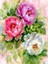 Güllerin Tonları Sayılarla Boyama Seti 40X50 cm (Tuvale Gerili) 2
