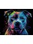 Neon Pit Bull Sayılarla Boyama Seti (Tuvale Gerili) 1