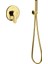 Ankastre Taharet Seti Gold 1