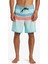 Everyday Stripe 19 Erkek Boardshort AQYBS03648-BET9 AQYBS03648-BET9002 1
