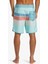 Everyday Stripe 19 Erkek Boardshort AQYBS03648-BET9 AQYBS03648-BET9002 3