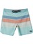 Everyday Stripe 19 Erkek Boardshort AQYBS03648-BET9 AQYBS03648-BET9002 5