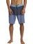 Highline Straight Leg 19 Erkek Boardshort 3