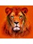 Aslan , Turuncu Tonlarda Dekoratif Kanvas Tablo 50 x 70 1