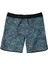 Highline Scallop 19 Erkek Boardshort 1