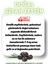 Doğal Gemlik Özel Siyah Zeytin 900 gr (261-290) M 3