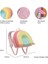 Zoyzoii Dream Serisi Sugar Heart Rainbow Sırt Çantası 4