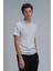 Erkek Gold Modern Grafik T-Shirt 111020191 Taş 1