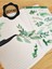 - Şeffaf Floral & Leaf Temalı Laptop Notebook Telefon Tablet Ajanda Sticker Seti 2