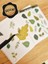 - Şeffaf Floral & Leaf Temalı Laptop Notebook Telefon Tablet Ajanda Sticker Seti 1