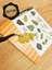 - Şeffaf Floral & Leaf Temalı Laptop Notebook Telefon Tablet Ajanda Sticker Seti 2