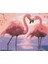 Flamingo Çifti Sayılarla Boyama Seti (Tuvale Gerili) 1