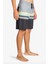 All Day Htr Stripes Og Erkek Boardshort EBYBS00114 EBYBS00114011 5