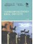 Siyaset Felsefesi Dizisi - 5 Kitap Set - Kent Devletinden Imparatorluğa, Imparatorluktan Tanrı Devletine, Tanrı Devletinden Kral-Devlete, Kral-Devlet Ya Da Ölümlü Tanrı, Kral-Devletten Ulus-Devlete 4