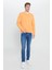 Standart Fit Normal Kesim Bisiklet Yaka Pamuklu Sweatshirt 2