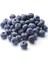 Taze Blueberry 1000 gr 1